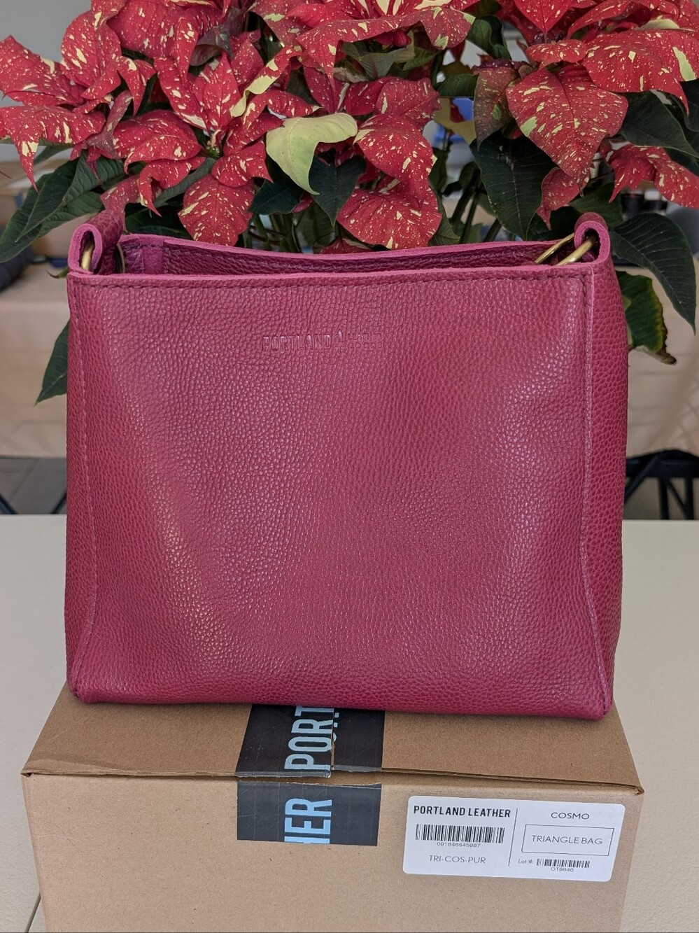 Cosmo Triangle Shoulder Bag